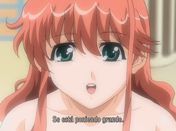 Ane to Boin (Animex)